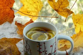 Hydratation intelligente : les meilleures boissons santé automne 2026
